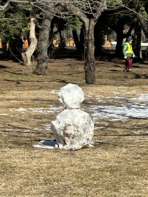 初雪で代々木公園に現れた雪だるま