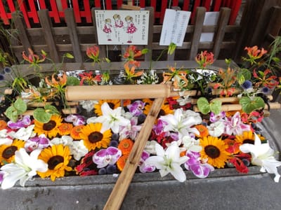 上野にある下谷神社の花手水