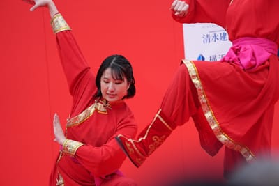 中国舞踊（ちゅうごくぶよう）