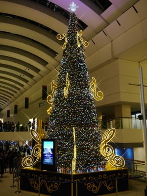 ☆ クイーンズ スクエア 横浜   Play hope Tree 　～　希望を奏でる クリスマスツリー  ～ 煌めく光と音の演出