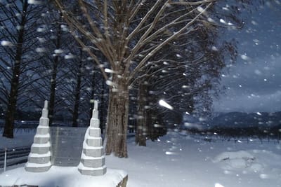 雪のメタセコイア並木　①