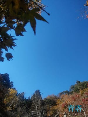 奈良シニア大学 写真サークル 学生Yさんの『奈良の素敵な風景』
