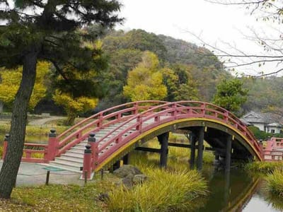 　　横浜市金沢区、”称名寺” 庭園 「反橋」（そりはし）