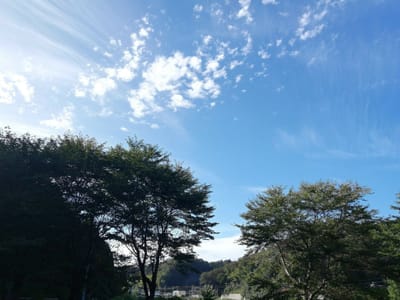 旅先の秋の空 (四所駅)  日本海美しき８絶景紀行ツアー１日目    2022年9月25日