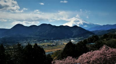 　　🗻　松田町　"西平畑公園"　から見る富士山　🗻