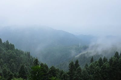 霧の奥高尾　小仏城山