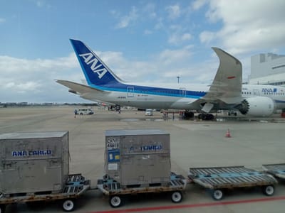 福岡空港ビューとツアーに参加しました。〜ＡＮＡ機とコンテナ