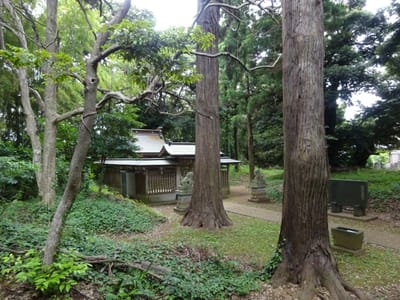 佐倉市・八幡神社