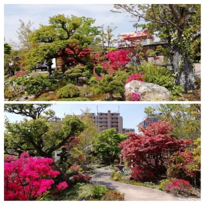 「日本庭園風」　　かしい花園シルバニアファミリー    風景お花編      2021年４月９日