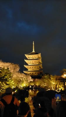 京都・東寺 ～夜間特別拝観～