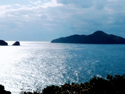神の浜展望台 ２    座間味島  (慶良間諸島５島巡りツアー３日目)    2023年１月29日    