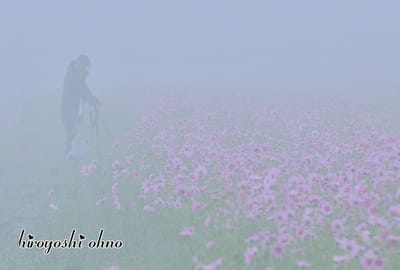 霧景