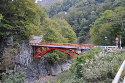 爽秋を求めて秋山郷から奥志賀から志賀高原ドライブ旅