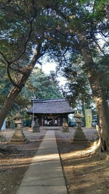 坂東市　國王神社