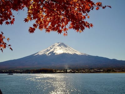 紅葉の河口湖越しの富士山🗻