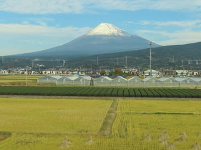 ひつじ田と富士山