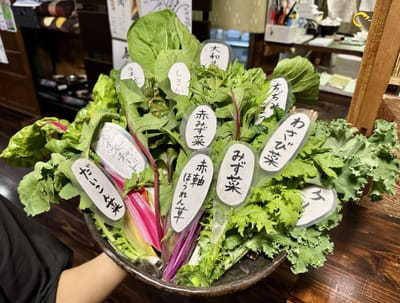 新緑奈良野菜の草鍋