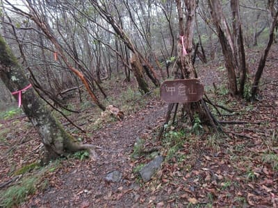 林道を4キロほど歩くと登山口