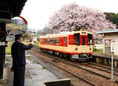 桜と長良川鉄道（１）