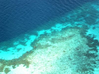 モルディブの珊瑚礁