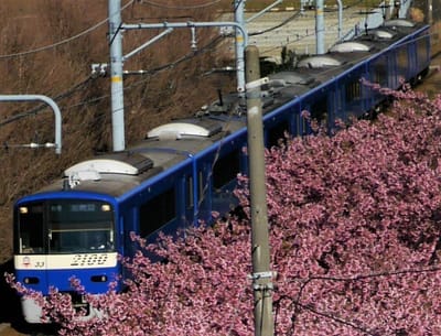 🚋 京急 “ナゾの途中駅”「鮫洲」「天空橋」には何がある？