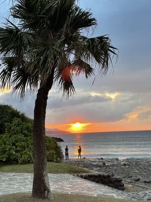 奄美大島の椰子の木陰からの夕陽