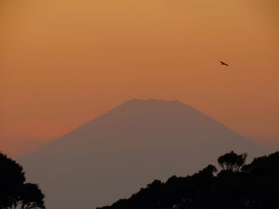 江の島からの秋の夕空の富士山と鳥