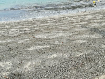 「軽石被害」　　　　陸続きの島「伊計島と宮城島巡り」 沖縄ツアー３日目   2021年12月４日