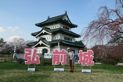 4/19 弘前城公園の桜~5分咲でしたが咲いてくれているだけで満足です！