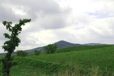 阿蘇外輪山の草原