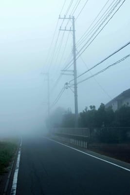 今朝の霧