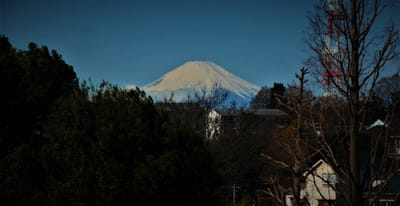 🗻　緑あふれる "根岸 森林公園" から望む、富士山　🗻
