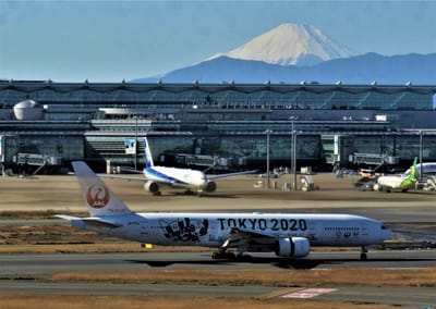数日だけ姿を現した異色の特別塗装機 五輪「聖火輸送機」のいま JAL＆ANAコラボ  「TOKYO 2020号」