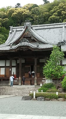 箱根、伊豆の旅。修善寺温泉と新井旅館
