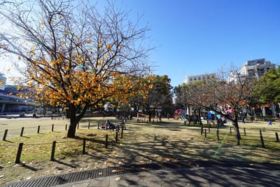 横浜公園（よこはまこうえん