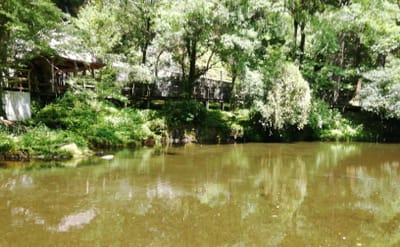 おのころ池１   高千穂峡   (九州花と絶景６つの名所巡りツアー２日目)   2023年６月３日