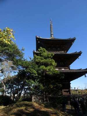 京都から移築の旧燈明寺三重塔