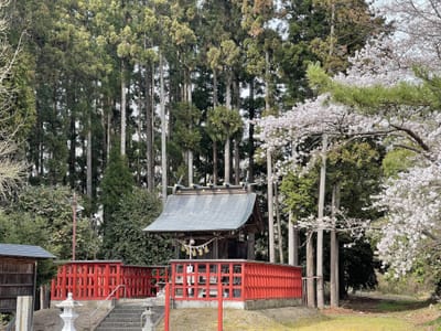多賀神社(多賀城市高崎)
