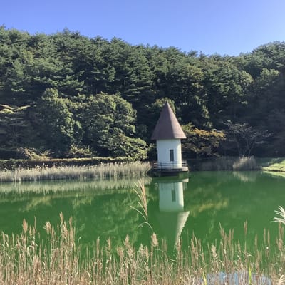 岳温泉、緑が池