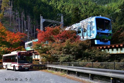 叡山電鉄と京都バスと紅葉と　2021.11.3