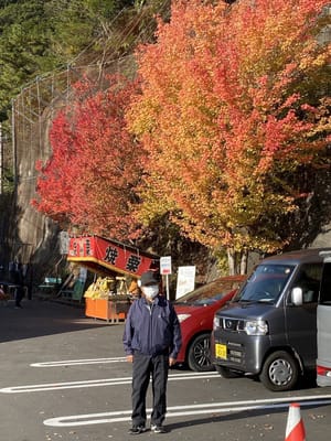 愛知県新城市の鳳来寺の紅葉