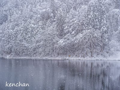 中綱湖の雪
