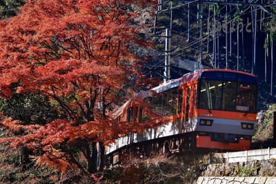 叡山電鉄の遅い紅葉を見に行く。　貴船口　2021.11.28