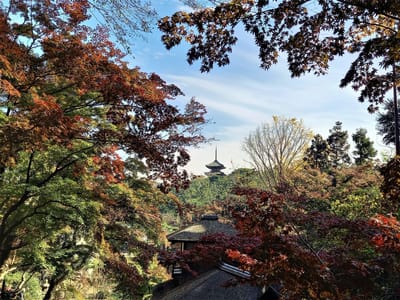 横浜市内の紅葉狩りスポット < 日本庭園「三溪園」> 4⃣