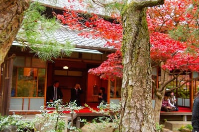 旧林家住宅の秋・紅葉のおもてなし
