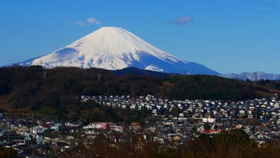 今冬に大磯町で撮影したお気に入り "大磯城山公園から見る富士山"