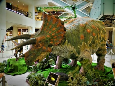 　　<恐竜>　　"トリケラトプス"　（Triceratops）