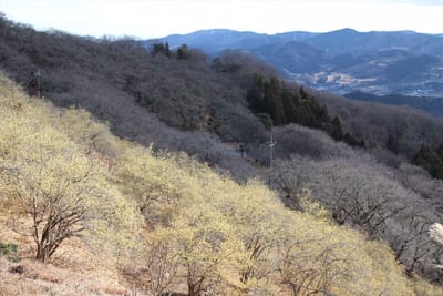 桜山公園1