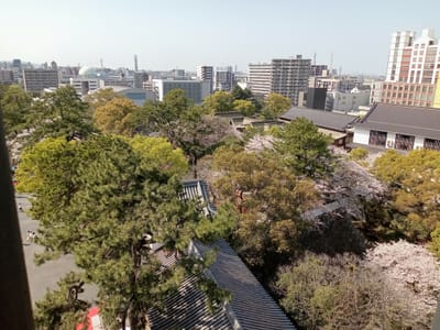 令和５年の小倉城🏯天守閣からの春の景色
