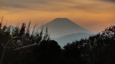 国営昭和記念公園から見る富士山の夕景